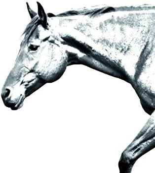 Art Dog Ltd. American Quarter Horse, lápide oval de azulejo de cerâmica com uma imagem de um cavalo
