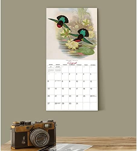 John Gould's Hummingbirds 2023 Mini Wall Calendário