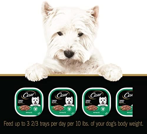 Filés de alimentos para cães molhados e molhados Cesar na receita do molho de peru, 3,5 oz. Bandejas de casca