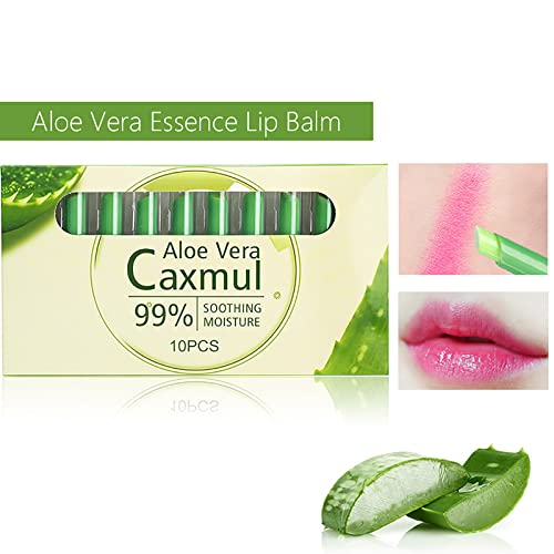 Lipulador de lábios Lipstick de aloe duradouro Conjunto de 10pcs, longa duração Lips Balmo Lips