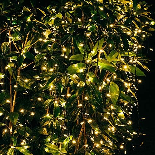Twinkle Star 300 LEDs de Natal LEDs Mini String Lights, 99 pés Fairy Lights com adaptador seguro para