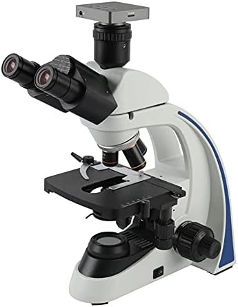 ZSEDP 40X - 1000X 1600X 2000X Microscópio biológico do laboratório Microscópio trinocular