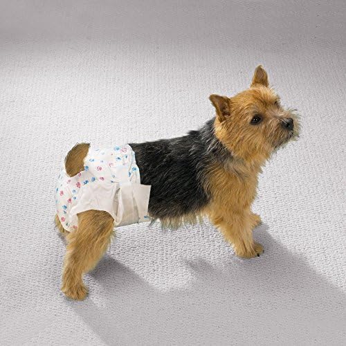 Limpo Go Pet descartável fraldas de cachorro-fraldas convenientes para cães, cães, cães em calor e filhotes,