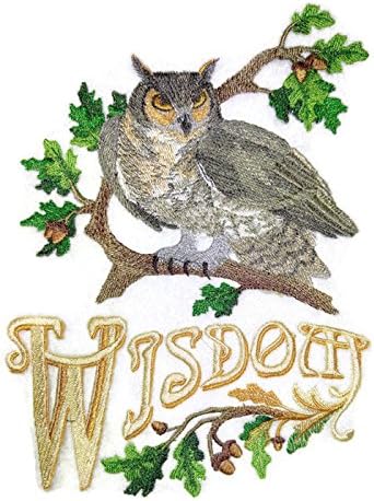 A natureza tecida em fios, Amazing Birds Kingdom [Owl of Wisdom] [Patch de ferro bordado e exclusivo) [5.87 *8]