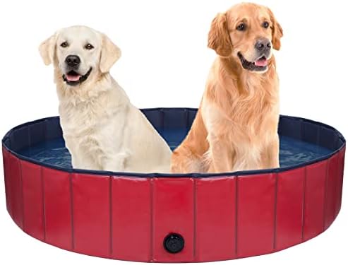 Piscina infantil dobrável de decoração para cães e crianças, 55 x 12 portátil e piscina de plástico rígido