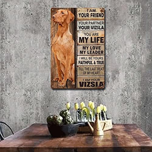 Ymyoo Metal Sign Tin Sign Vintage Wall Art I Am Your Friend Gift for Vizsla A Lovers Vintage Wall Art Prints