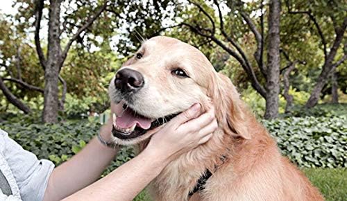 Higiene bucal para cães Chews - Cuidados com dentes saudáveis ​​para cães - goma e dentes complexos