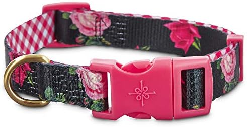 Marca Petco - Good2go Pink Rose Print Dog Collar em preto, médio, multicoloria