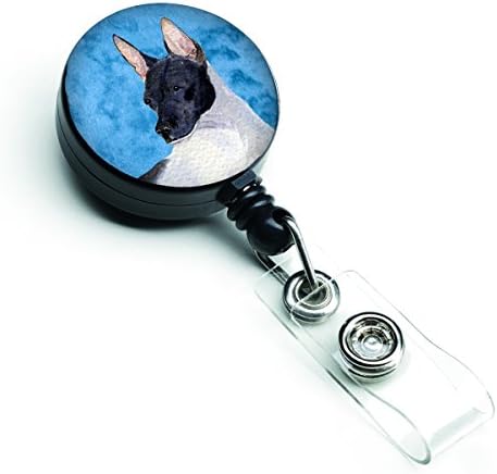 Tesouros de Caroline SS4756-BU-BR-BRUM Blue Rat Terrier Reel retrátil de crachá, para o suporte