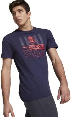 Camiseta de chg ftblcore do puma masculino