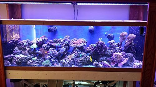 Barra de luz LED de aquário 72 Cichlídeo de água doce de reefbar pro 6500k plantada 66x 3W Bridgelux