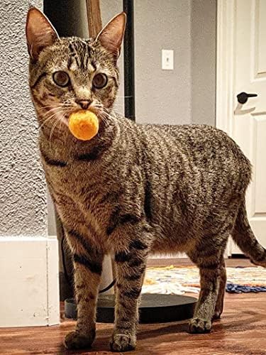 Bolas de gatos diyuqishi, bolas de brinquedo de gatos, brinquedos de gatinho, brinquedos de gatos para gatos