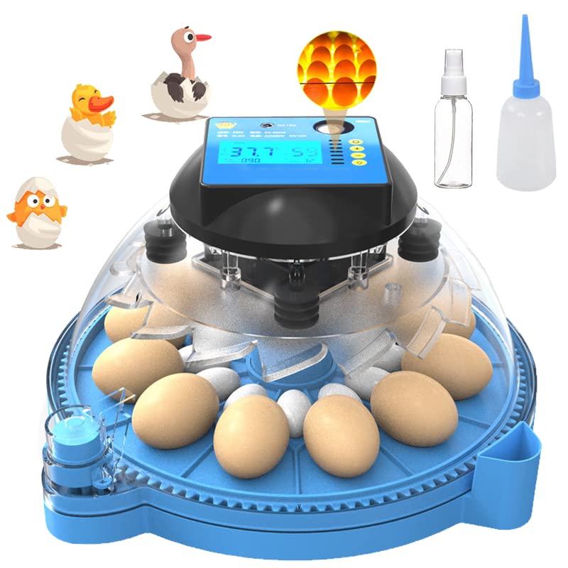 Nollapo 24-12 Incubadora de ovos com um testador de ovo leve de um fundo, 95% Taxa de eclosão Turnação automática de ovos e controle de temperatura, exibição de temperatura de umidade