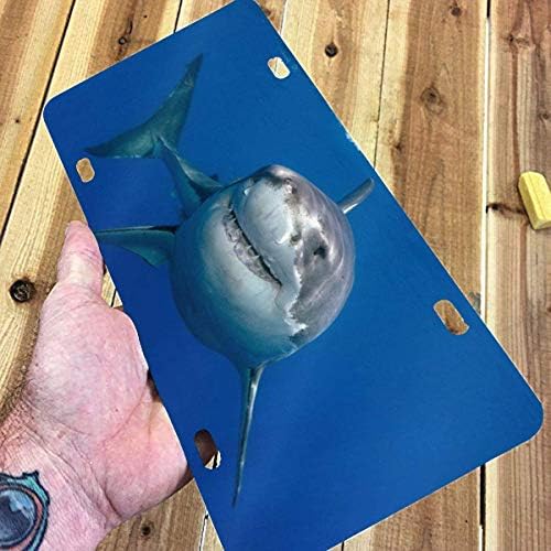 Ótimo Placa de Licultura de Tubarão Branco - Cool Alumínio Metal Placa da placa frontal Tag de carro decorativo
