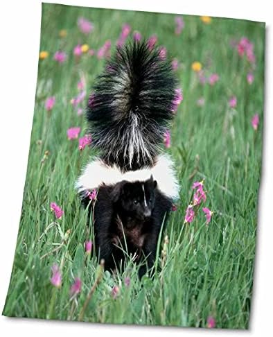 3drose cativeiro gambá listrado em campo de flores, Montana - toalhas
