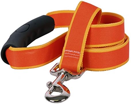 Projeto de cão amarelo Sterling Stripes laranja Goldenrod Dog Leash com conforto Grip Handle-Large-1