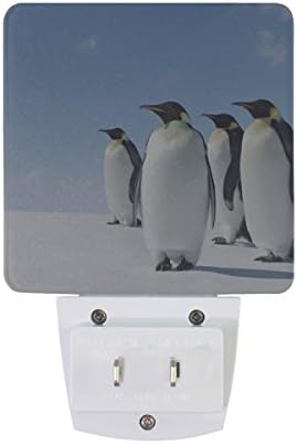 Naanle Conjunto de 2 Imperador Penguin no Pólo Sul com Blue Sky Auto Sensor Led Dusk To Dawn Night Light Plug