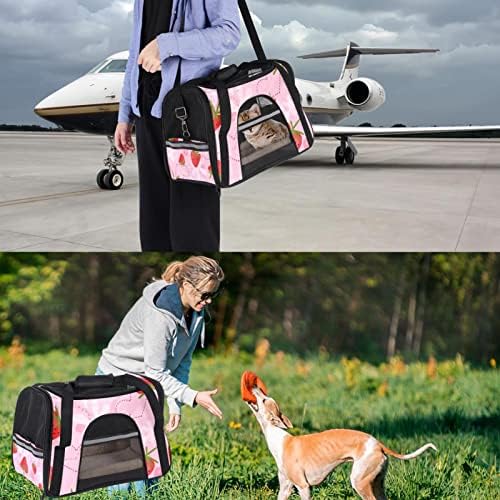 Portador de animais de estimação, transportadora de gatos, transportadora de cães, transportadora de