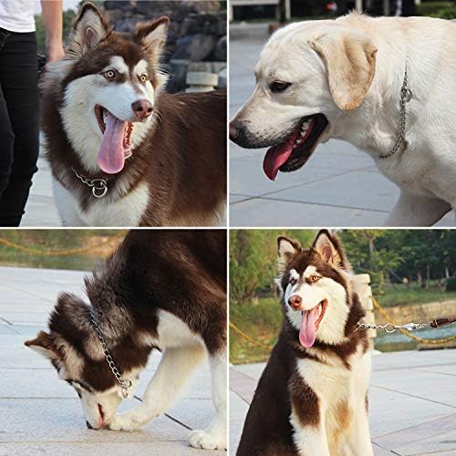 Corrente de colarinho de cães de 3 pacote, colar de treinamento em aço inoxidável para cães