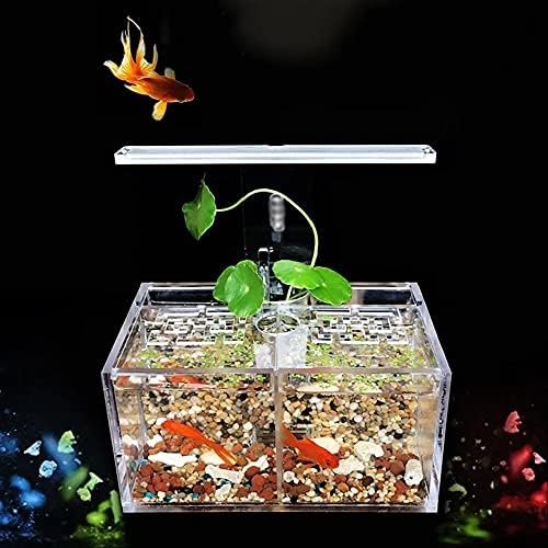 Caixa de isolamento de troca de água livre de tanques de peixes de acrílico Renslat com led de lâmpada