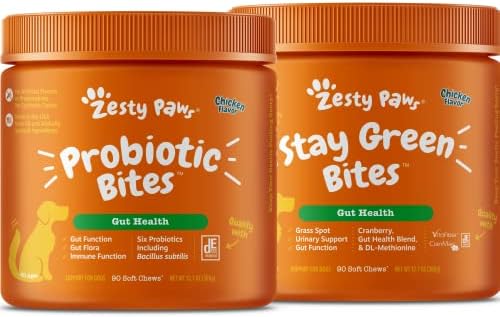 Probióticos para cães - probióticos para flora intestinal, saúde digestiva + permanecer verdes para cães - grama