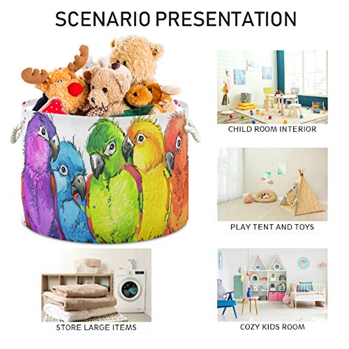 Grande cesta de armazenamento redondo - Parrots engraçados Canvas Home Solução organizacional Bin