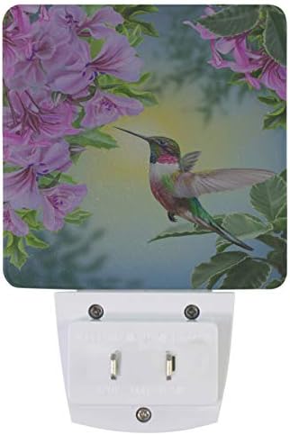 Spring Hummingbird Night Light Conjunto de 2 Flores roxas Luz noturna de pássaro plug-in de verão LED Nightlight