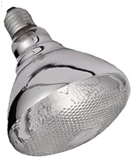 Lâmpada de lâmpada de calor de Kouwo 250 watts Luz branca infravermelha para serviço de alimentação