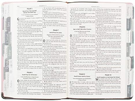 Boas guias da Bíblia Ruby, casca colorida e tags de indexação de livros, marcadores de página de 1 ”x