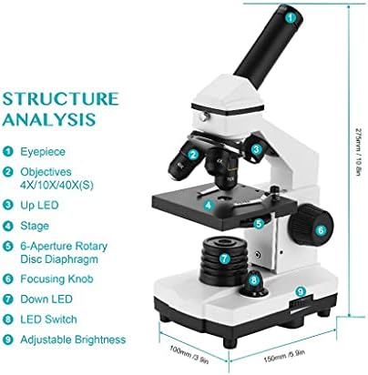 Ylyajy 64X-640X Microscópio biológico profissional Up/Down Microscópio monocular LED para estudantes
