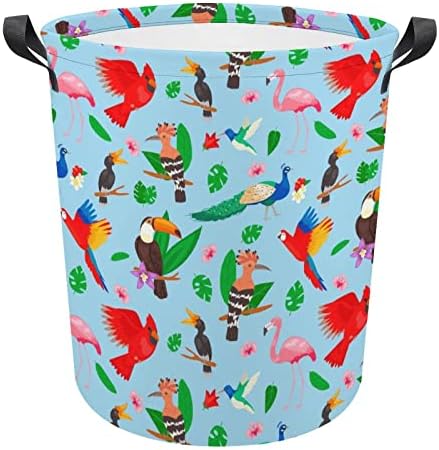 Tropical Birds Jungle Summer Summer lavanderia Cesta de cesta de armazenamento cesto de lavanderia