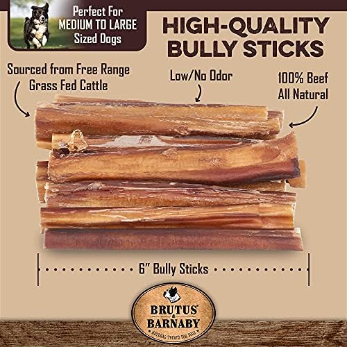 Brutus & Barnaby 12 Orezas de porco inteiras + 12 Bully Sticks para cães
