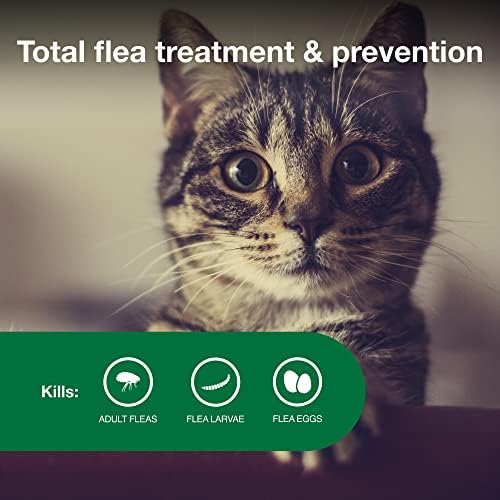 Vantagem II Pequeno tratamento de pulgas e prevenção de pulgas recomendadas gatos | Gatos 5-9 lbs.