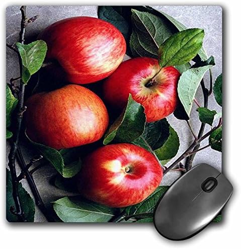 3drose LLC 8 x 8 x 0,25 polegadas mouse bloco, maçã