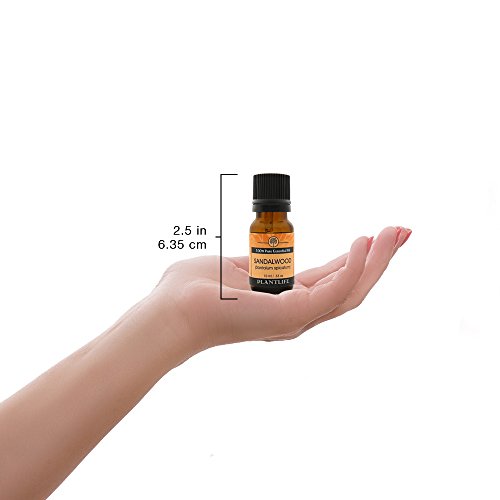 Óleo essencial para aromaterapia em sândalo de vida planta - direto da planta pura grau terapêutica - sem aditivos ou enchimentos - 10 ml