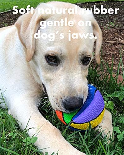 Basquete multicolorido - brinquedo de cachorro multicolor