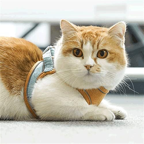 Gatos genéricos tração corda de gole de gole de gato de gato anti-breakaway corda gatos andando