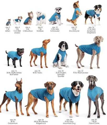 PAW DE OURO DULUTH DUPLO DOPO DOG CABOLOVER-Roupas macias e quentes de cachorro, suéter de estimação