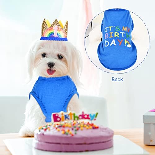 Dog Birthday Party Supplies - Dog Birthday Hat Roupet Conjunto - Aniversário Boy Bandana para médio,
