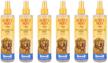As abelhas de Burt para cães coceira suavizante spray com madressilva | Melhor spray anti-titch para