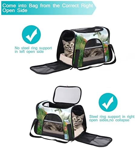Airline aprovada portadoras de animais de estimação Bag Fantasy Glass Unicorn Unicen-side do lado portátil portátil