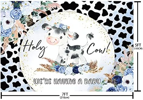 Mehofond Holy Cow Baby Churche Cenário para menino, estamos tendo uma faixa de decorações para festas