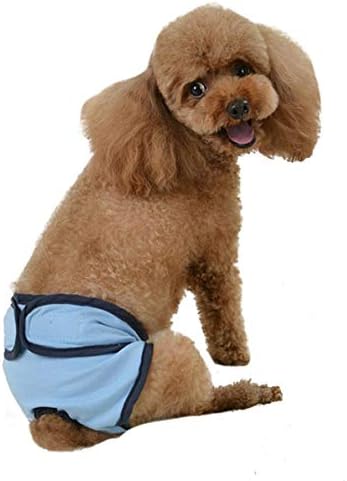 Calça fisiológica de animais de estimação cães calças de segurança de cor pura calças de segurança feminino cão