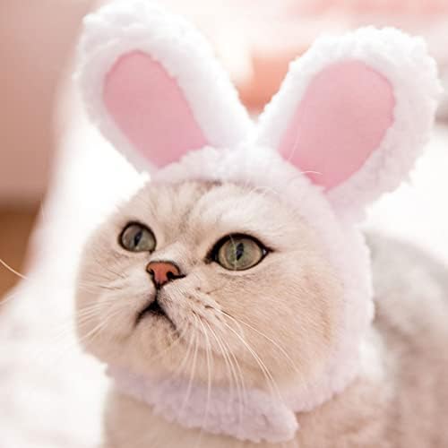 Worparsen Cat -chacear com orelhas, chapéu de páscoa macio, chapéu de gato de desenho animado, figurina fofa