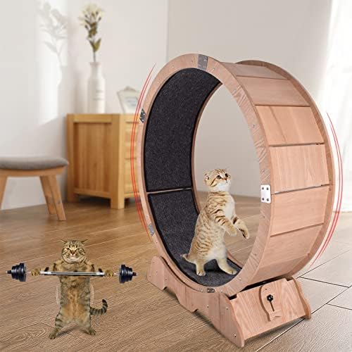 Roda de gato ginsent, roda de exercícios de gato grande, exercício natural de roda de gato de madeira