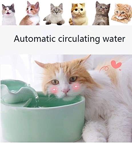 Dispensador de água para animais de estimação de gotas de água Pet Pet