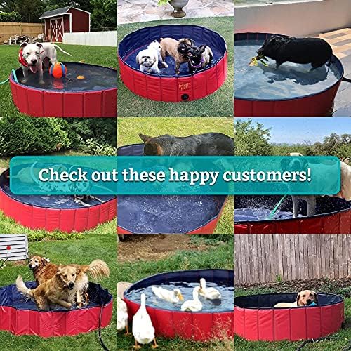 Piscina de cães dobráveis ​​XL Frontpet - piscinas de 60 de largura para cães grandes, piscina infantil