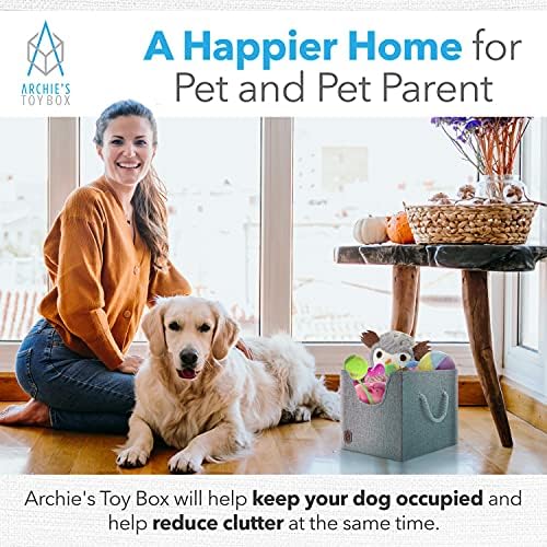 Caixa de brinquedos para cães de Archie, caixa de armazenamento para brinquedos de filhotes, lixeira