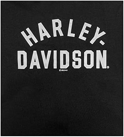 Harley-Davidson Big Boys 'B&S Logope Fleece Colorblocked Hoodie com zíper
