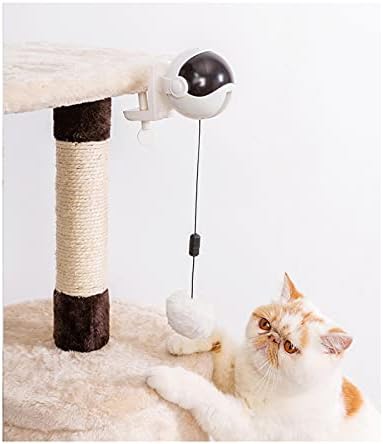 NC provocar bola de gato de gato elevador de brinquedo elétrico provocação de gatos brinquedos de